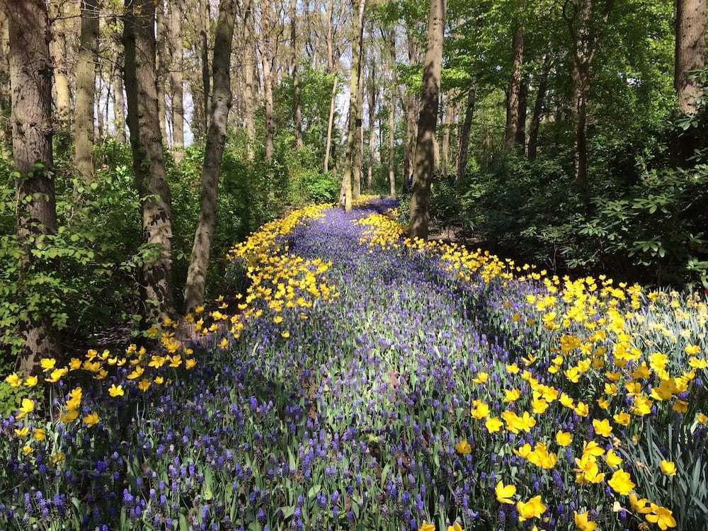 National Parks in Netherlands