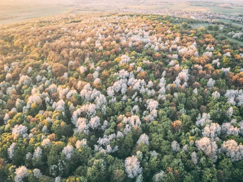 National Parks in Hungary