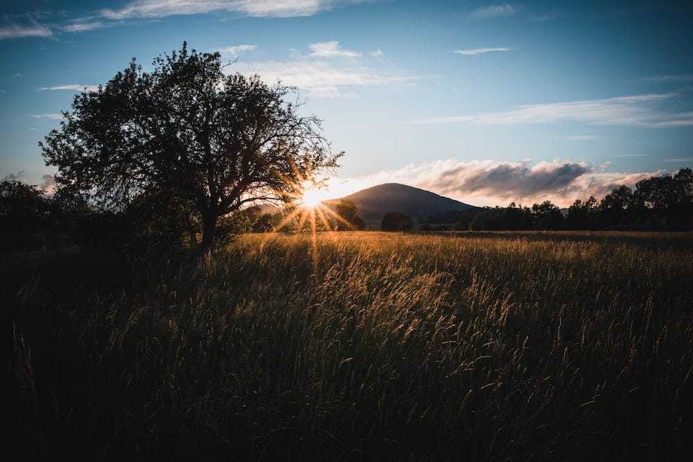 National Parks in Czech Republic