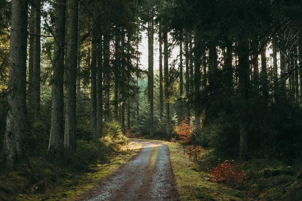 National Parks in Belgium